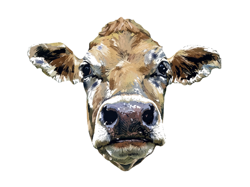 Ostfriesische Kuh – Maskottchen NHM Werbung Emden